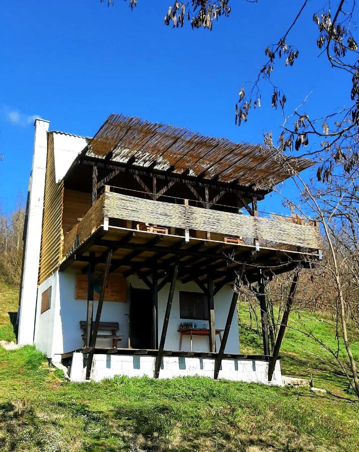 KnicVidikovac Golo Brdo别墅 外观 照片